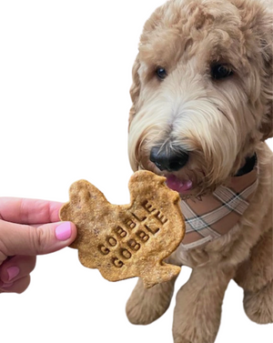 Turkey Dinner Treats