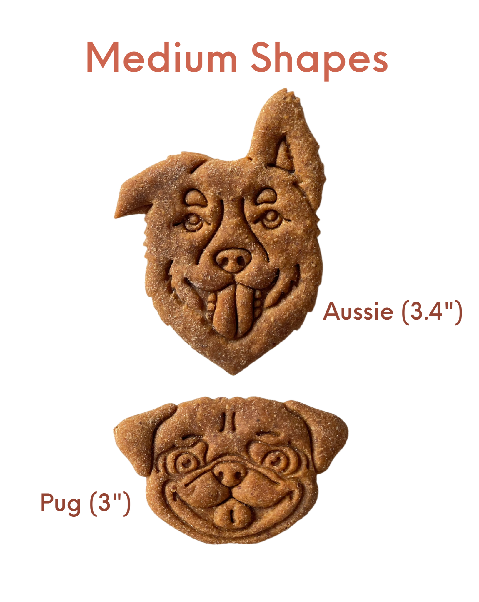 Medium Custom Dog Treats