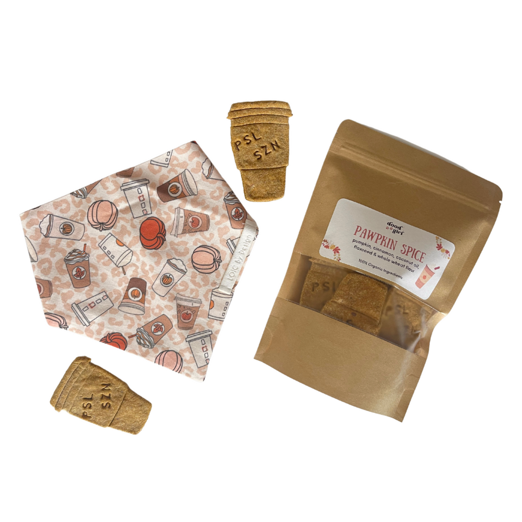 Pawpkin Spice Bandana Bundle